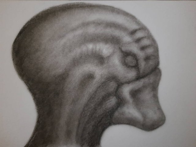 20250905_105950.jpg