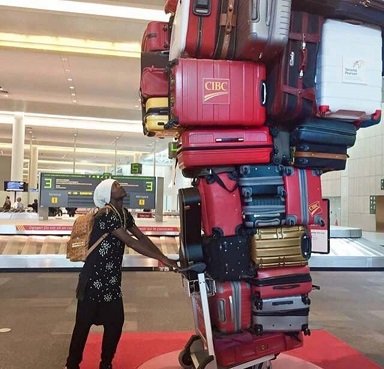 too-much-luggage.jpg