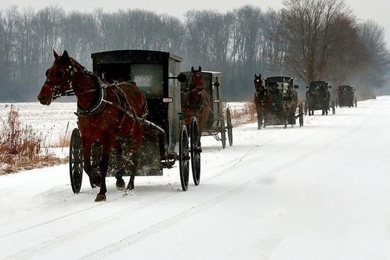 Amish winter travel.jpg