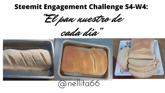Steemit Engagement Challenge S4-W4.jpg