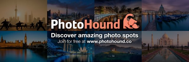 photohound_bg.jpg