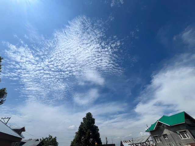 IMG_3183.jpeg