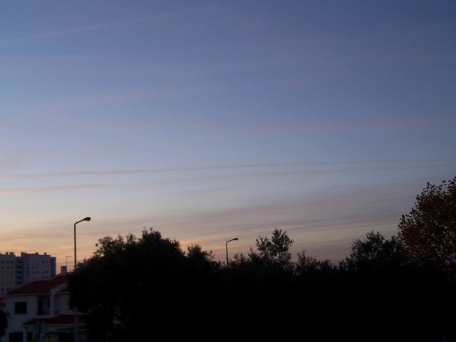 100_2069 0412 steemit.JPG