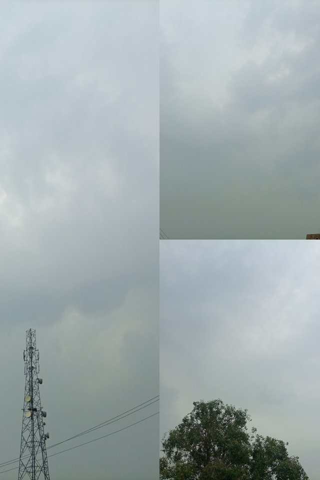 img_1749991597494.jpg