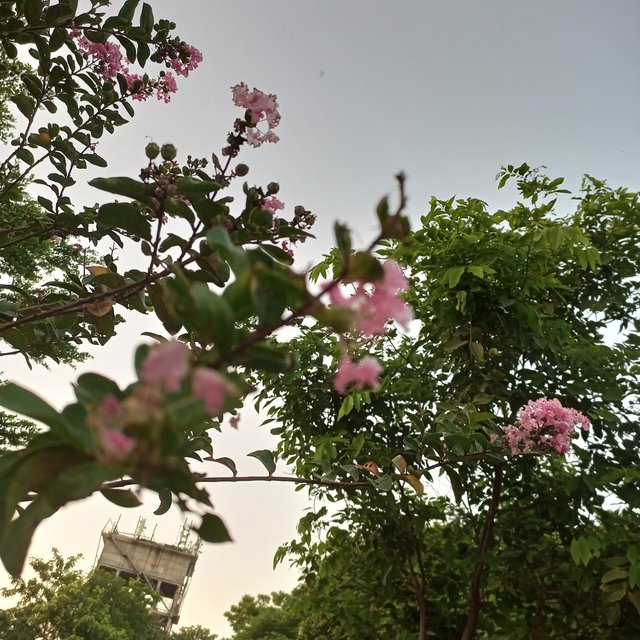 IMG_20250930_184516_764.jpg