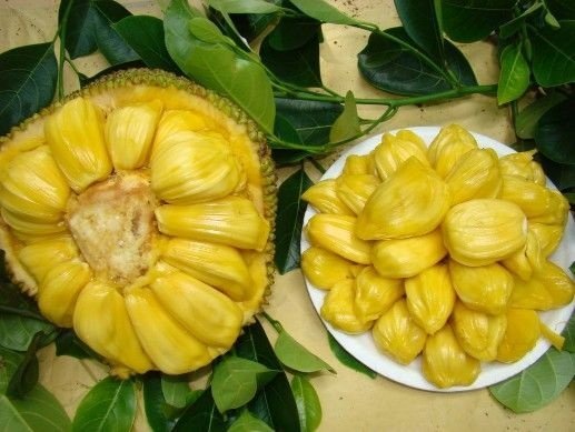 jackfruit sweet.jpg