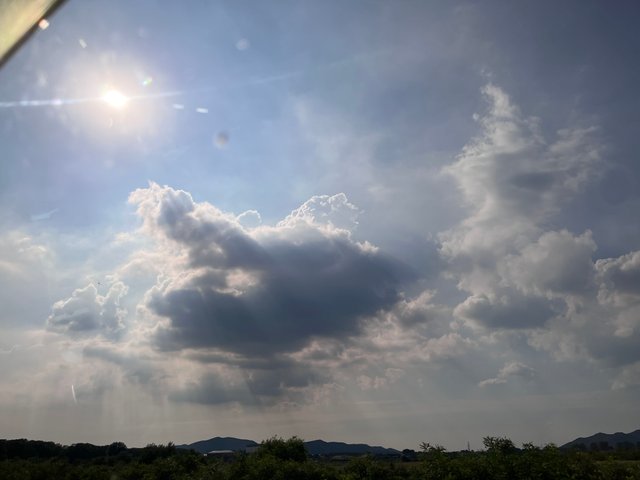 IMG_8925.jpeg