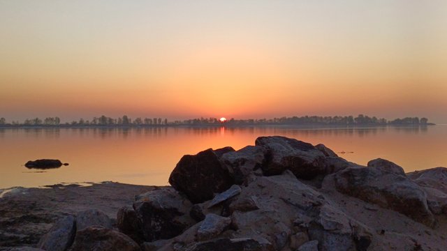 20250422_055029.jpg