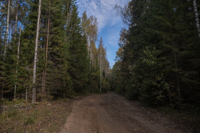 DSC05996.jpg