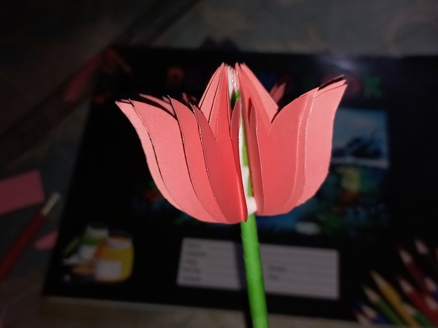 20250424_115850.jpg