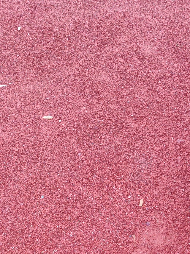 1000051288.jpg