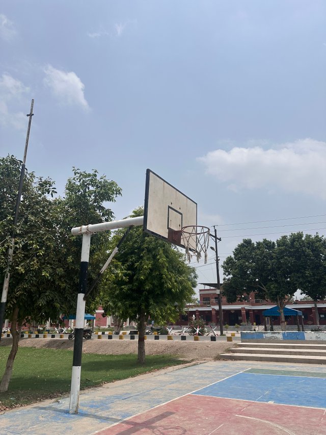 IMG_2049.jpeg