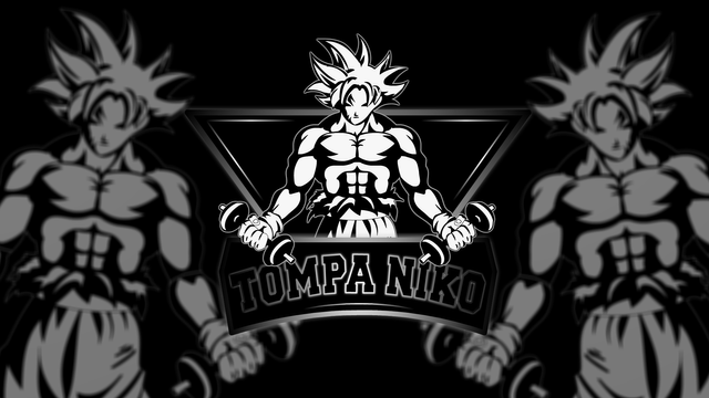 Osebno trenerstvo Tompa Niko logo made by Animationiko Niko Balažic.png