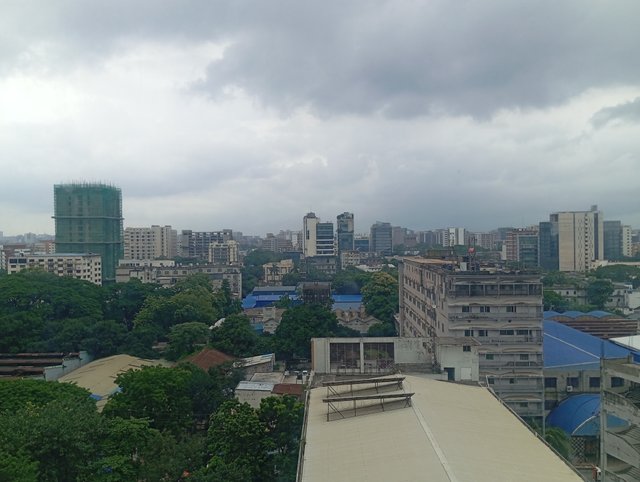 1000582125.jpg