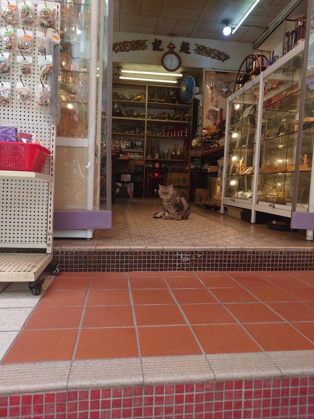 Hong Kong26.jpg