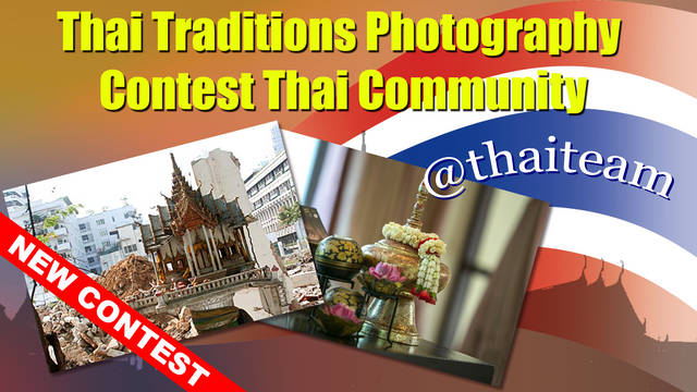 trafitions Photography contest.png