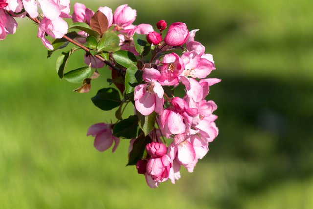 DSC09286.jpg