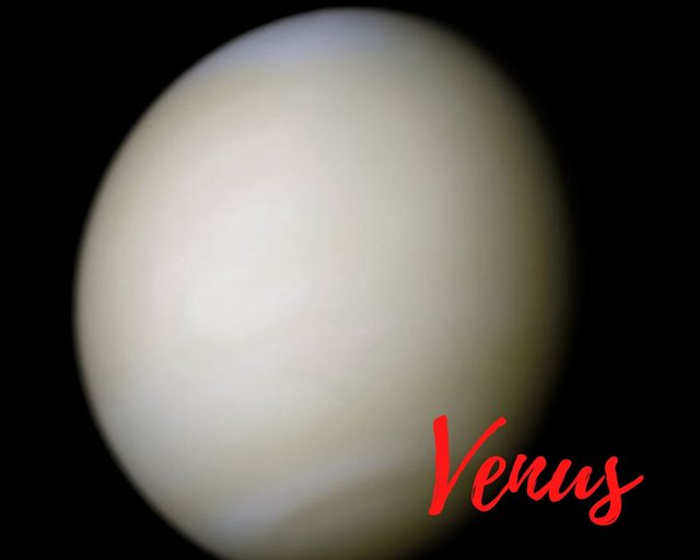 Venus.jpg