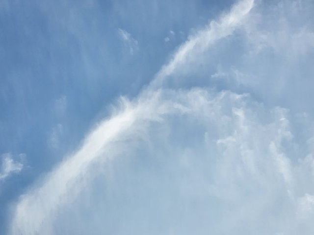 17553498200223249525128149691366.jpg