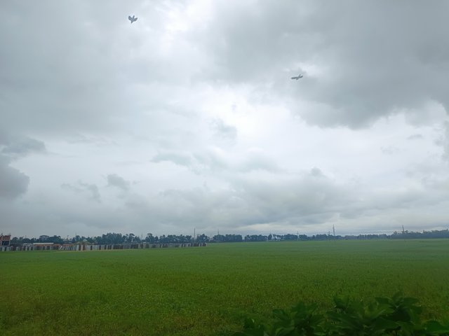 1000010070.jpg