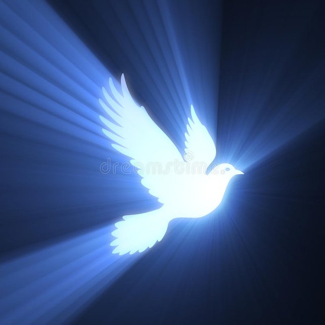 dove-bird-peaceful-light-flare-27359948.jpg