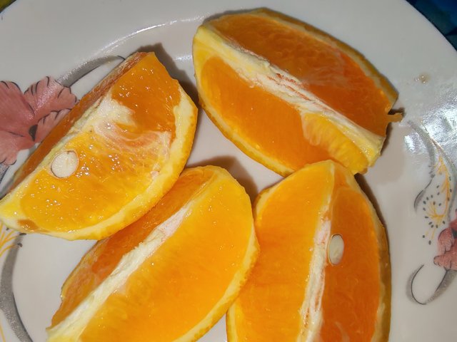 4164.jpg