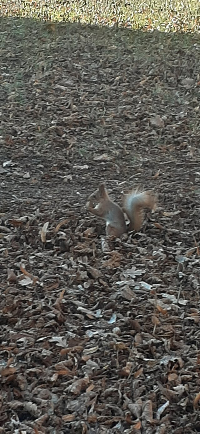 20211116_120458.jpg