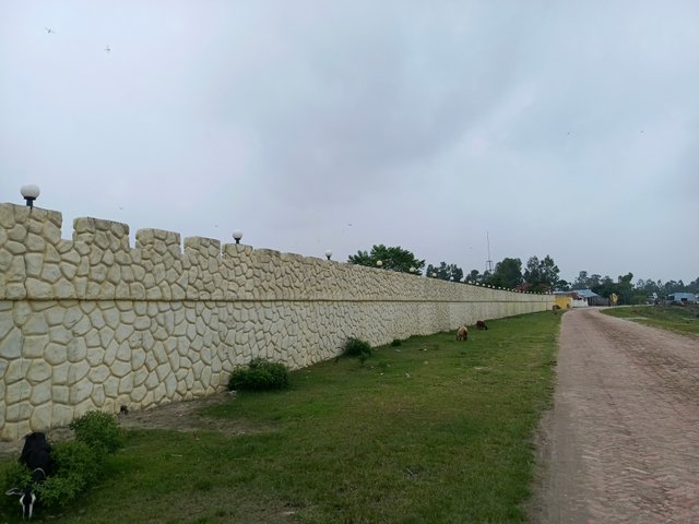 1000009442.jpg