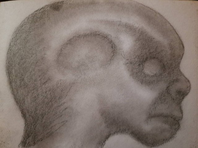 20250430_104249.jpg