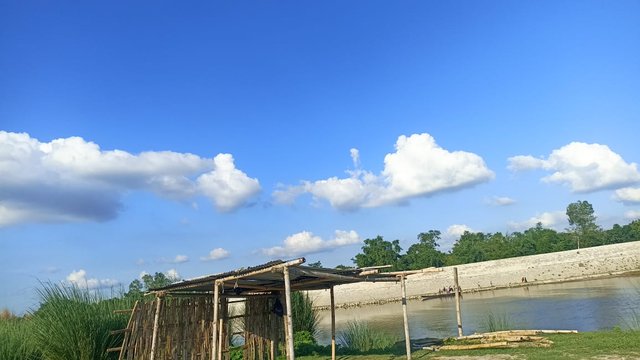1000039370.jpg