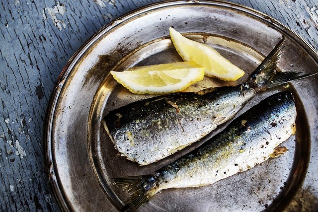sardines-1489626_1280.jpg