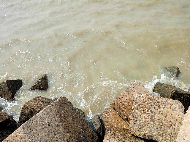 IMG20250224121112.jpg