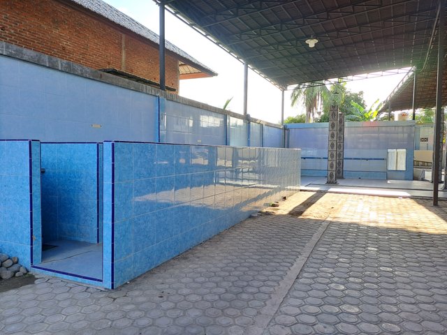 20250725_170213.jpg