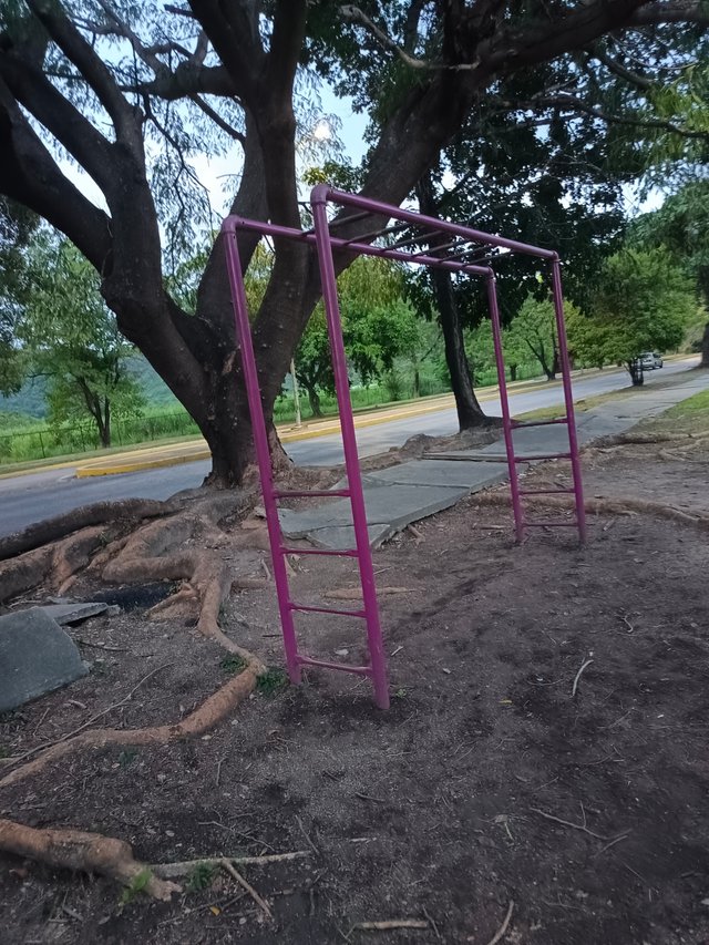 1000608861.jpg