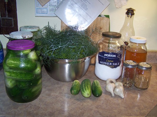 Dill pickles - ingredients1 crop Aug. 2018.jpg