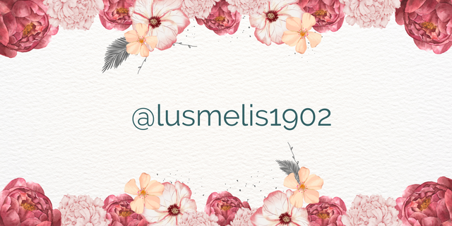 @lusmelis1902_20250606_054027_0000.png