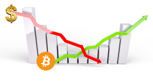 dollar vs BTC graph.png