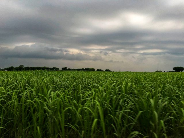 IMG_2006-01.jpeg