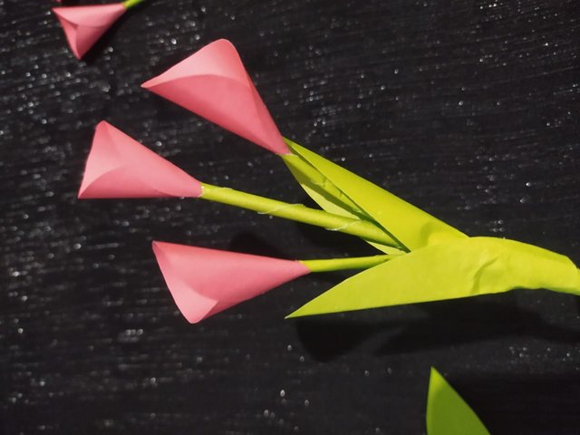 1000011088.jpg