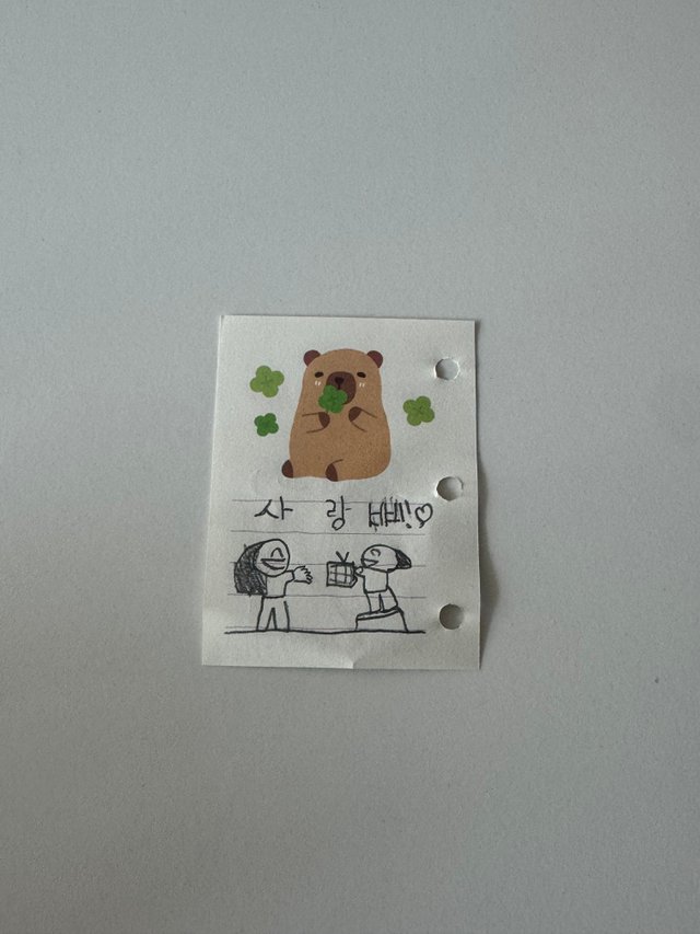 IMG_1009.jpeg