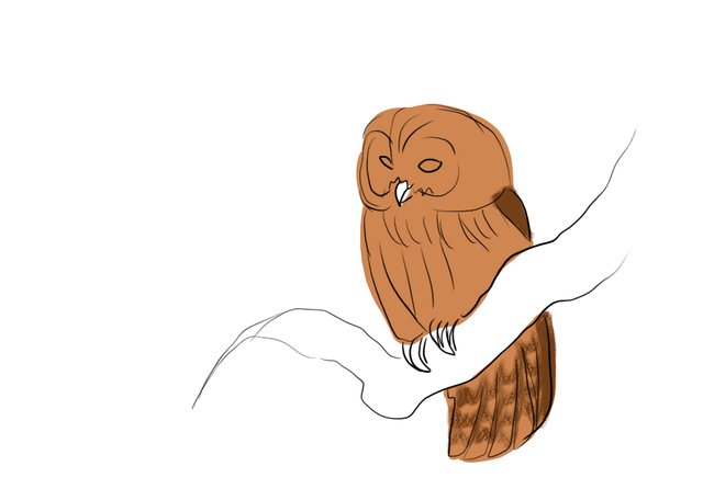 owlbrown(458).jpg