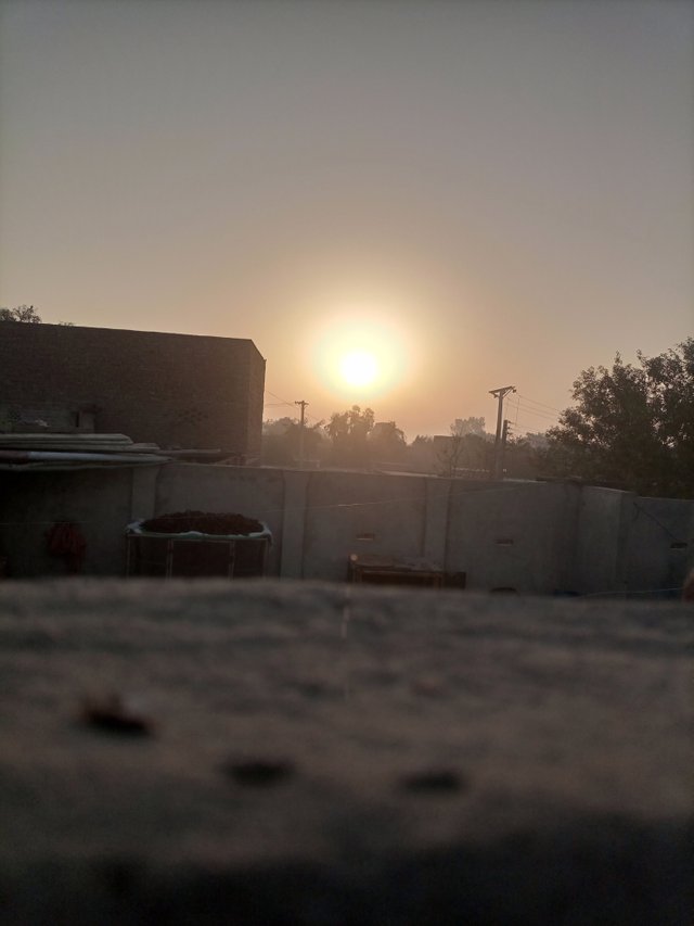 IMG_20241007_063129_908.jpg