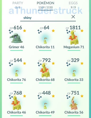 Shinies after event.jpg