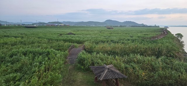 KakaoTalk_20250809_083957286_04.jpg