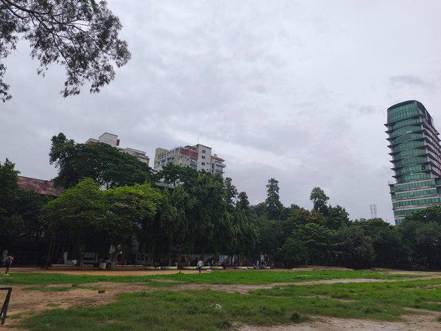 IMG_20250619_115548.jpg