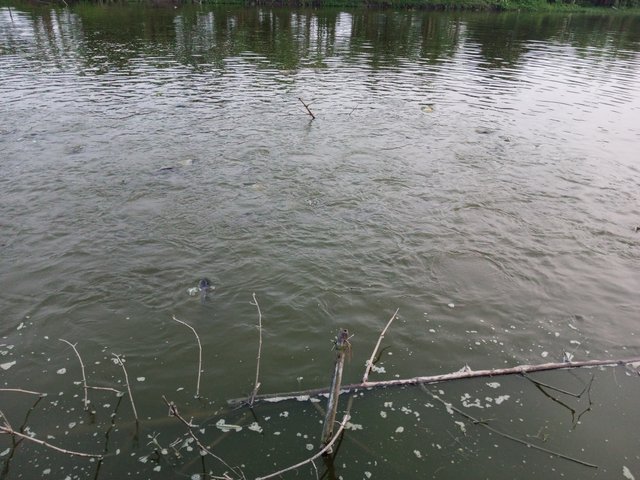 IMG_20250921_180359_075.jpg