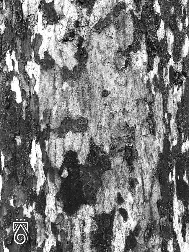 wood texture bw+logo.jpg