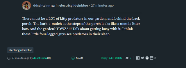 Christmas Letters I Have Writ Letter No 3 2013 Original Photography And Original Christmas Wishes In Lettered Form Steemit