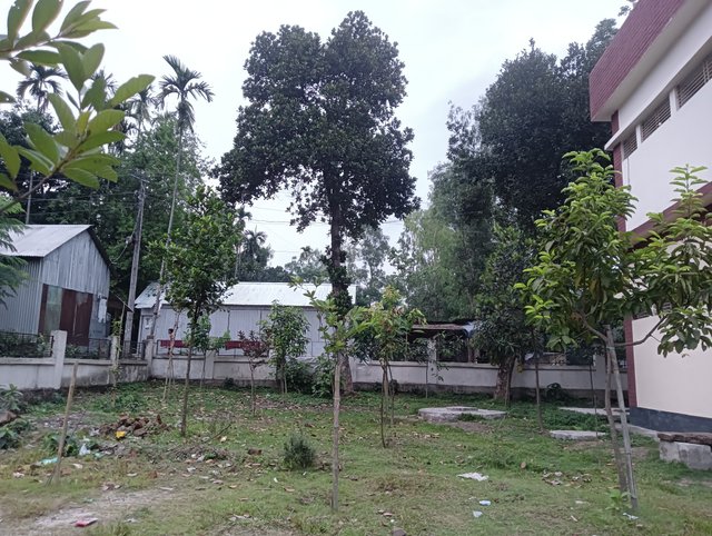 IMG20250519183318.jpg