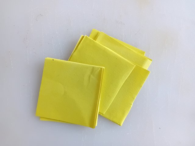 1000039060.jpg